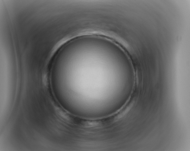X0000114061501200910051206