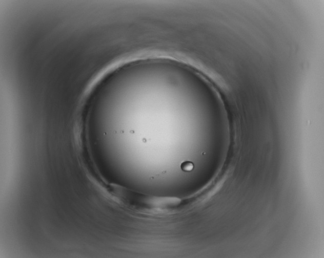 X0000114061502200910051206