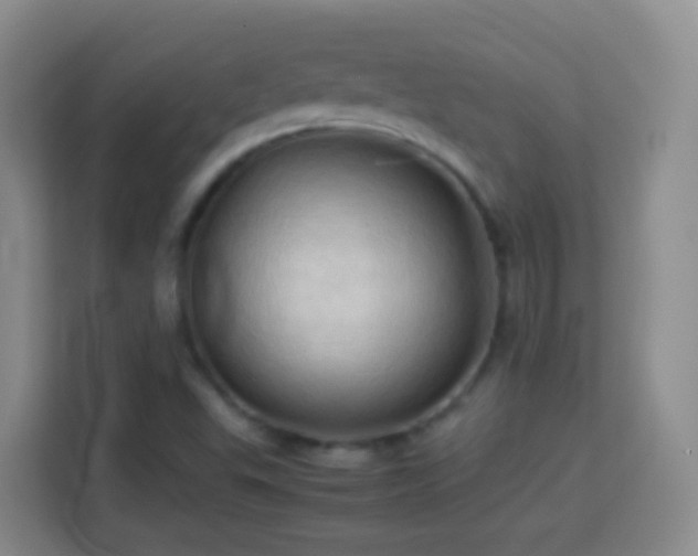 X0000114061503200910051206