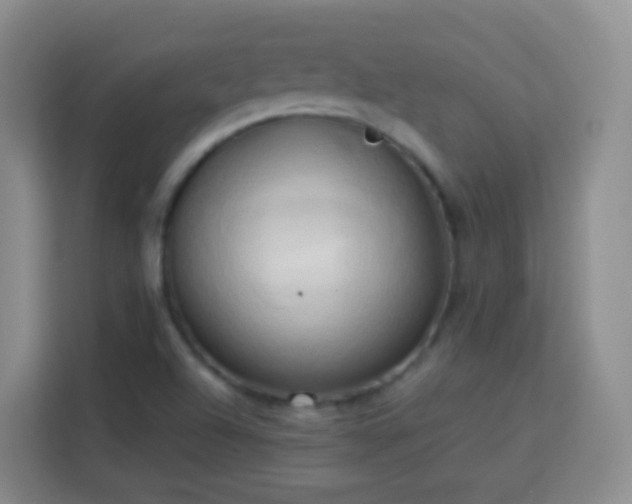 X0000114061504200910051206