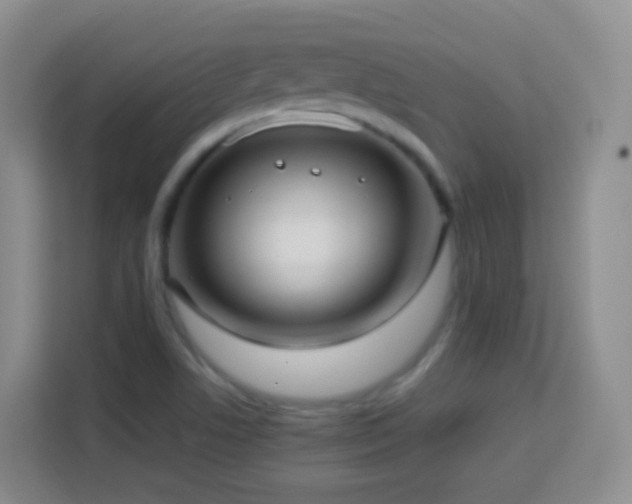 X0000114061506200910051206