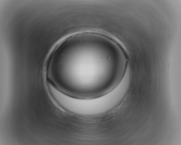 X0000114061508200910051206