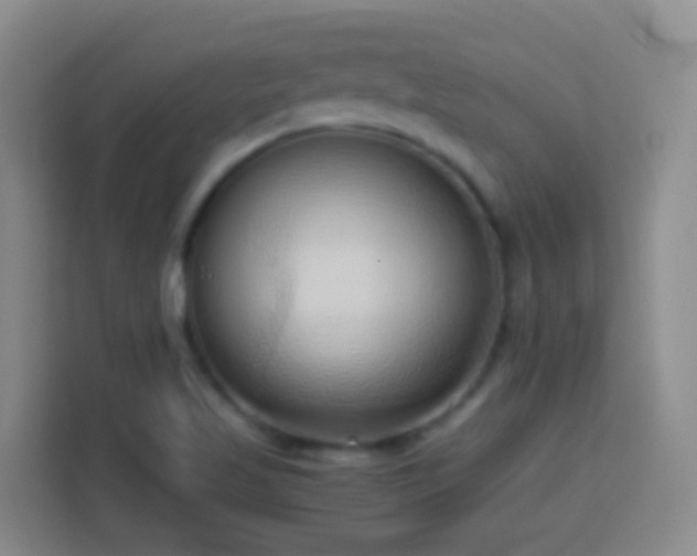 X0000114061509200910051206