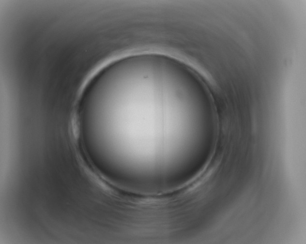X0000114061510200910051206