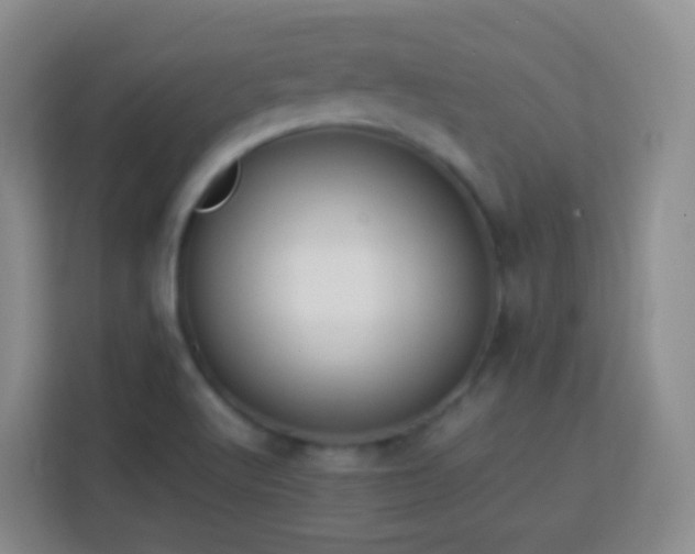 X0000114061512200910051206