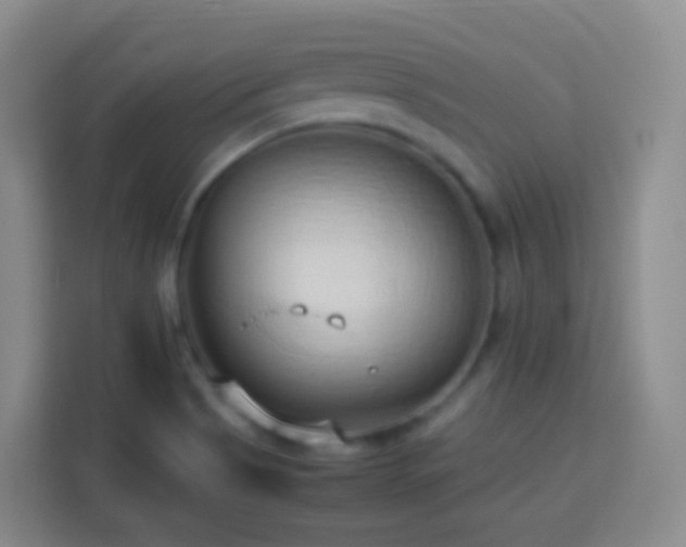 X0000114061513200910051206