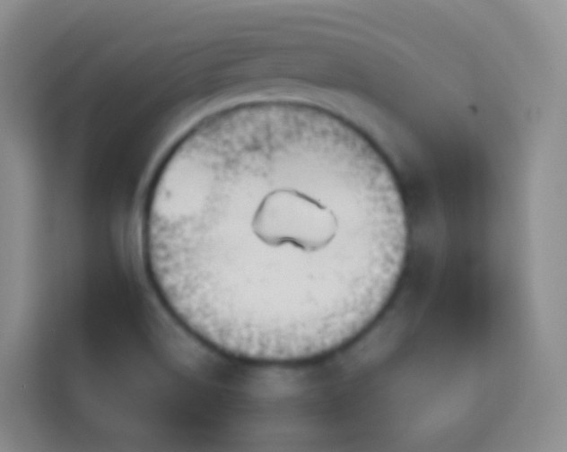 X0000114061514200910051206