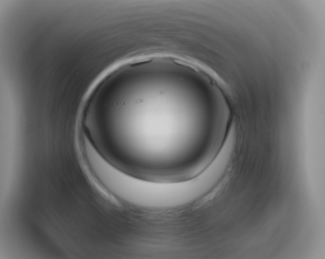 X0000114061518200910051206