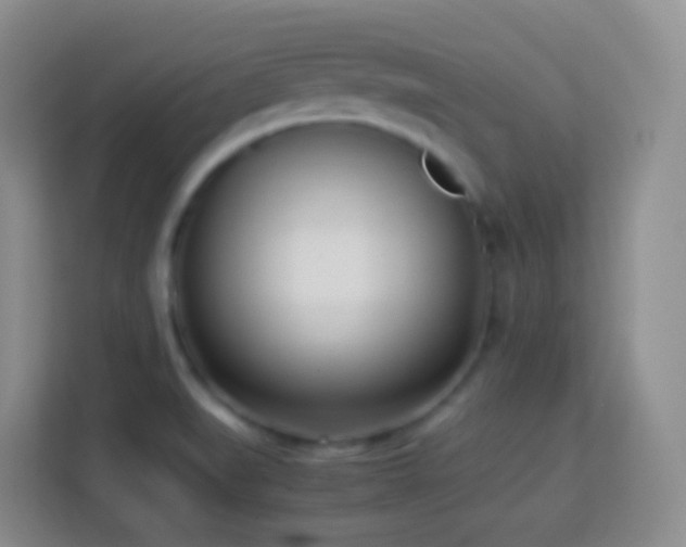 X0000114061519200910051206