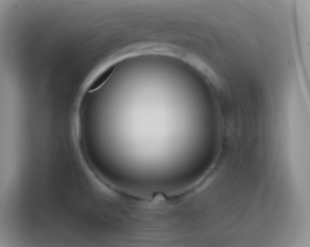 X0000114061520200910051206