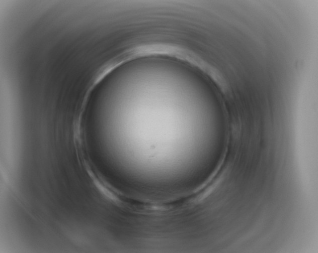 X0000114061521200910051206