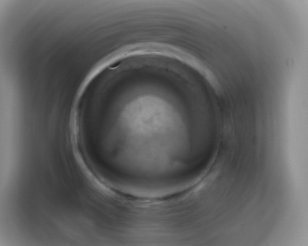 X0000114061522200910051206