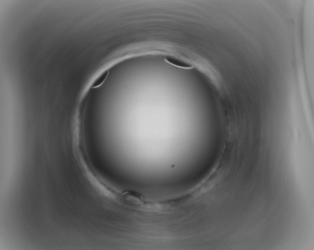 X0000114061524200910051206