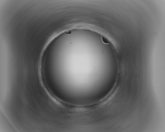 X0000114061525200910051206