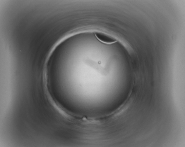 X0000114061526200910051206