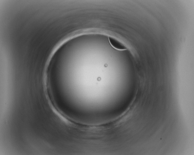 X0000114061527200910051206