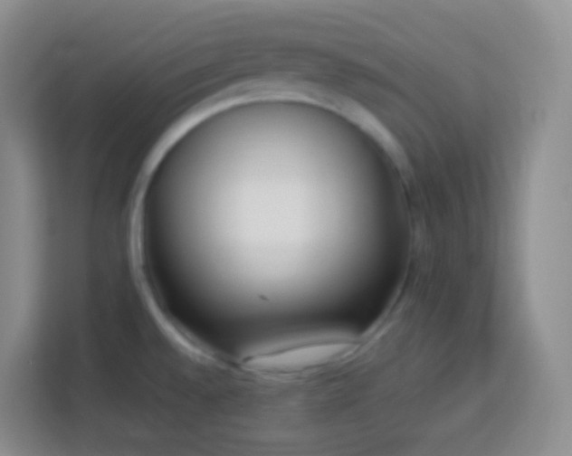 X0000114061528200910051206