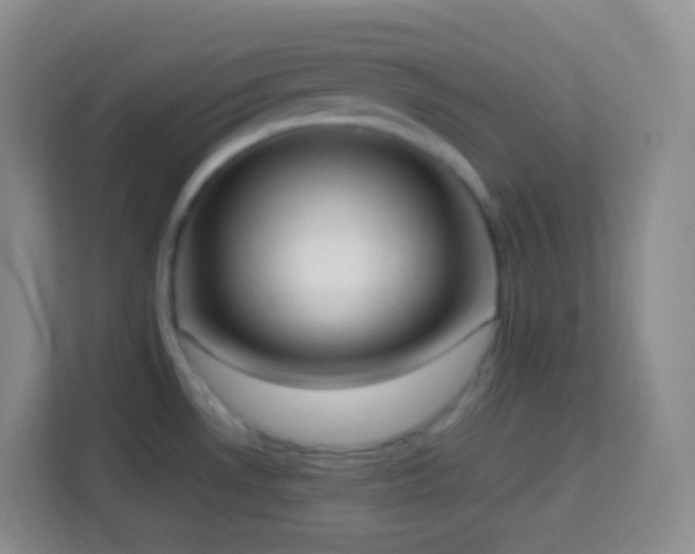 X0000114061530200910051206