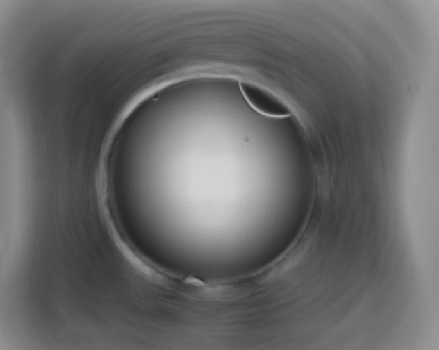 X0000114061531200910051206