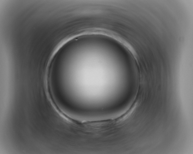 X0000114061533200910051206