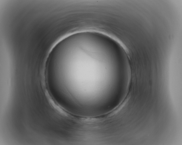 X0000114061534200910051206