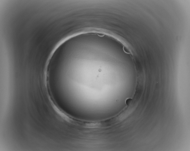 X0000114061535200910051206