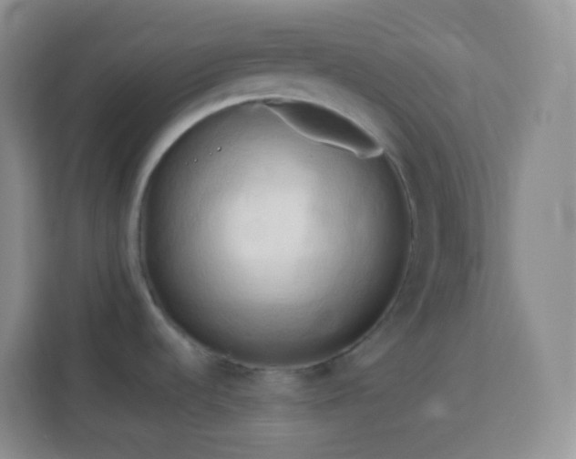 X0000114061536200910051206