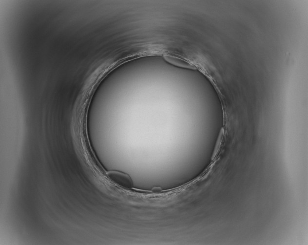 X0000114060001200910131155