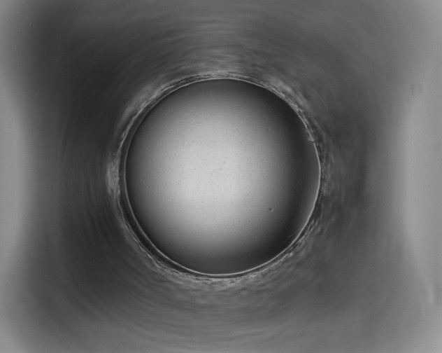 X0000114060002200910131155