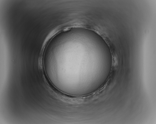 X0000114060004200910131155