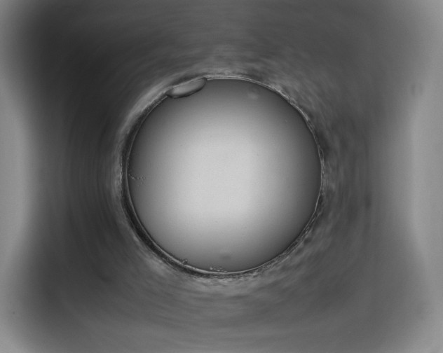 X0000114060005200910131155