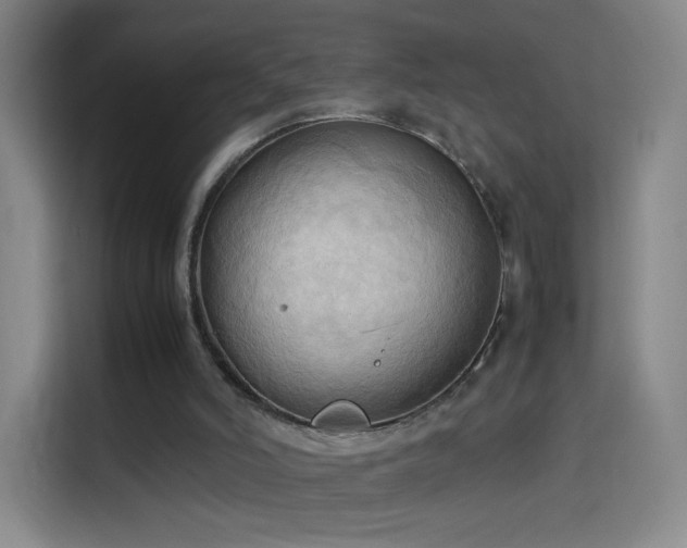 X0000114060006200910131155