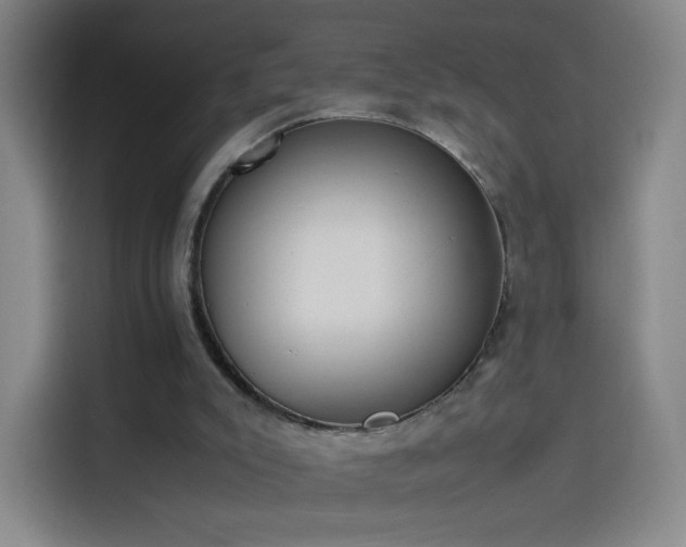 X0000114060007200910131155