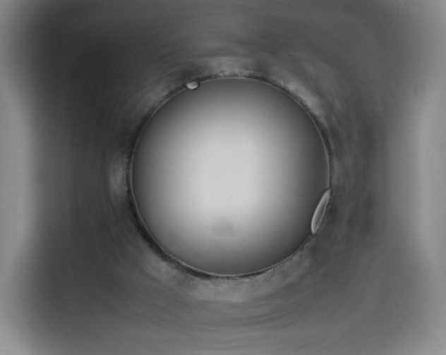 X0000114060009200910131155