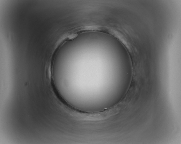 X0000114060011200910131155