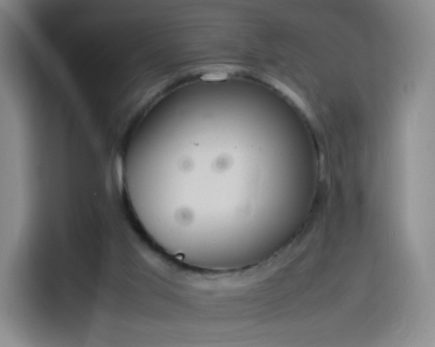 X0000114060013200910131155