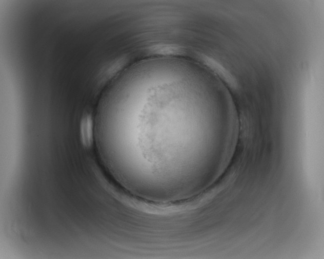 X0000114060014200910131155