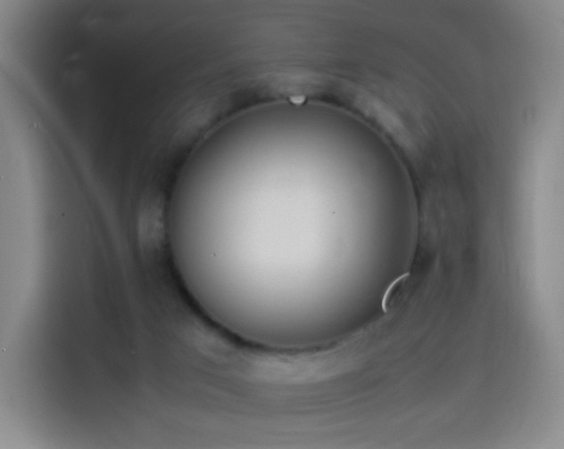 X0000114060017200910131154