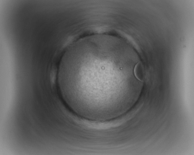 X0000114060018200910131154