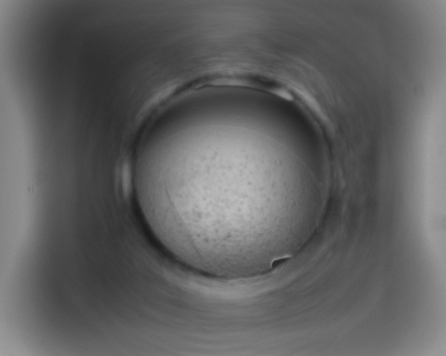 X0000114060019200910131154