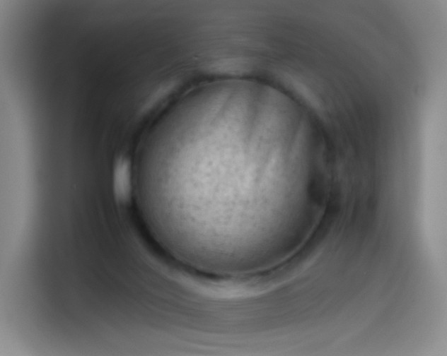 X0000114060020200910131154