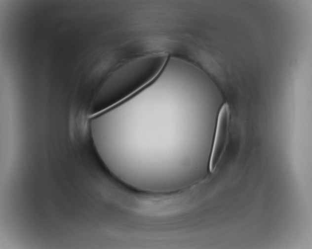 X0000114060021200910131154