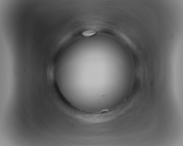 X0000114060023200910131154