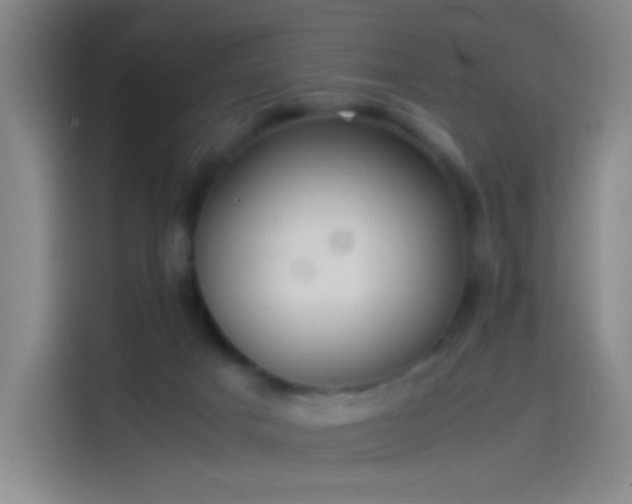 X0000114060025200910131154