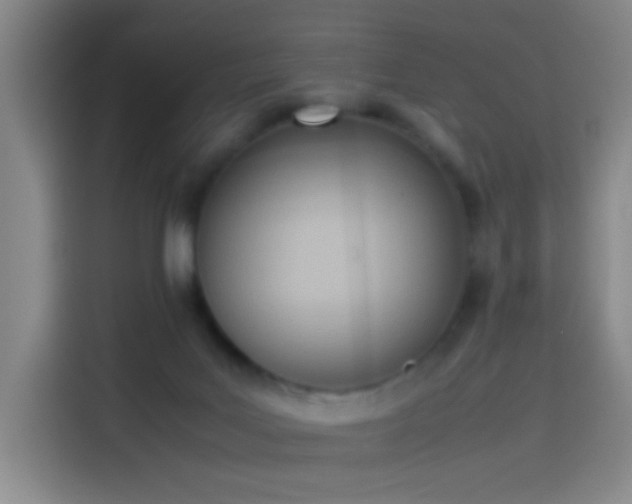 X0000114060027200910131154