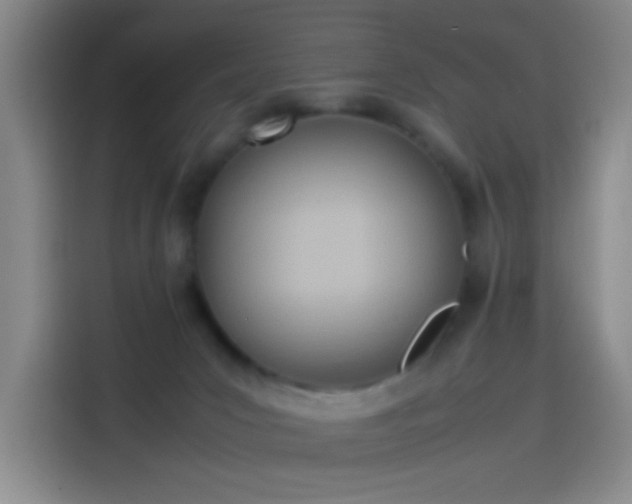 X0000114060031200910131154