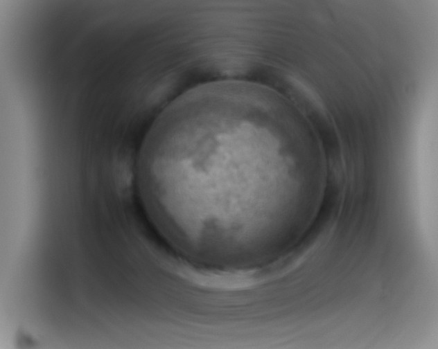 X0000114060032200910131154