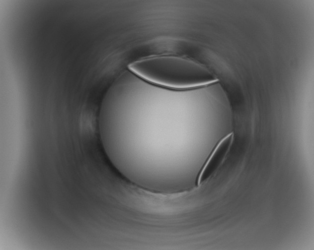 X0000114060035200910131154