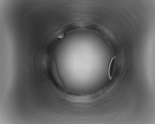 X0000114060036200910131154