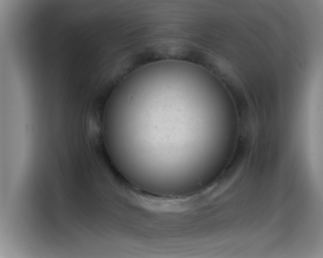 X0000114060040200910131154